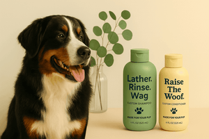 Custom Conditioner