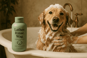 Fresh & Clean Shampoo