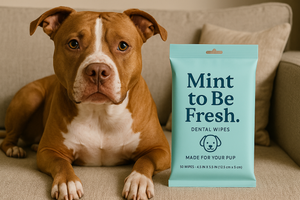 Dental Wipes – Fresh Breath & Oral Care